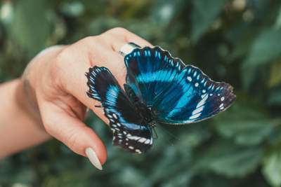 Creating a STEEP (social, technological, ecological, economic & political) future through transformation and growth