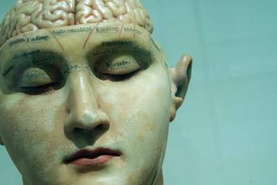 Grasp the wonder of the neuroplasticity of your brain
